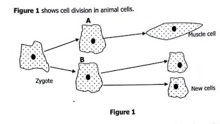 2022 G12 BIOLOGY PAPER 2 GCE Q1 AND Q2 SECTION A [upl. by Eurydice905]