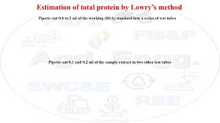 Estimation of total protein by Lowry’s method  biochemistry microbiology protein foodscience [upl. by Theodor]