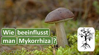 Das solltest du über Pilze in deinem Boden wissen So förderst du Mykorrhiza  mit Farm2Farm [upl. by Nosredna]