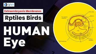 EXTRAEMBRYONIC MEMBRANES RPTILES BIRDS HUMAN ICSIR2023I GATEI [upl. by Ylrad386]