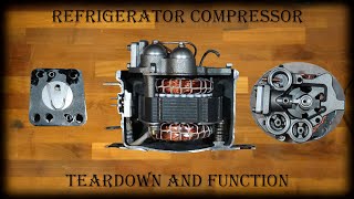 Kühlschrank Kompressor zerlegen und Funktionsweise erklärt [upl. by Eelatan912]