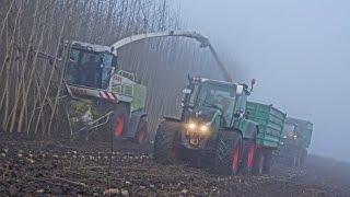 Holzhäckseln mit Claas Jaguar [upl. by Aubin]