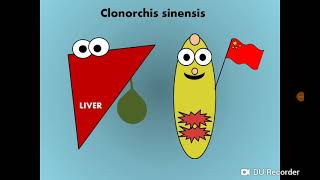 Clonorchis Opisthorchis amp Dicrocoelium Liver Fllukes المثقوبات الكبدية [upl. by Ced]