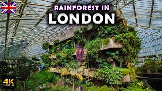 Guide to Barbican Centre in London 🇬🇧 Huge Garden at Barbican Conservatory [upl. by Anidualc507]