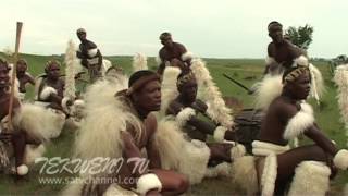 Celebrating Zulu Heritage Through Tribal Dance [upl. by Essilrahc607]