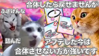 ラブライブの理不尽なソシャゲのアプデ【猫ミーム】猫マニ 猫ミーム [upl. by Rurik519]