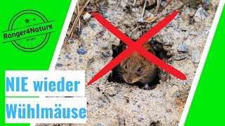 WÜHLMÄUSE 🐀  WIRKUNGSVOLLE Bekämpfung OHNE Chemie 2023 ranger4nature [upl. by Nadual521]