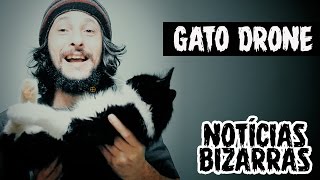 Gato drone Arremesso de bebês e Fantasma no programa de TV [upl. by Itsirk]