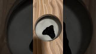 2024 New ferrofluid speaker dancing to Tobias Drey  HMU Mesmerizing Magnetic Liquid Venom [upl. by Negam75]