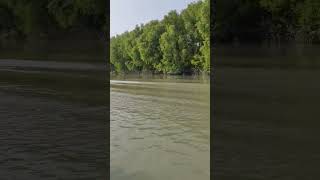 চর মানিক ভোলা তেঁতুলিয়া রিভার ভিউ। river with Char manika view music love instrumental [upl. by Vladimar633]