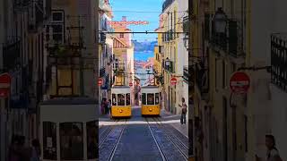 Lisboa magnifica❤️shortytshortyoutubelisbonportugal europe lisbontravel travel [upl. by Llenyl]