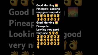 Good Morning 🌄 PineappleLooking very good very nicesong [upl. by Elleron]