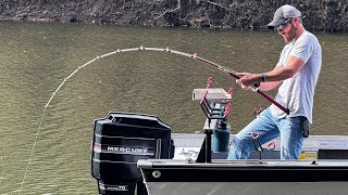 This Lake In The Mountains Of Tennessee is LOADED With Fish  NONSTOP ACTION [upl. by Nived]