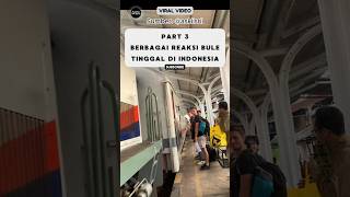 Reaksi Bule Tinggal Di Indonesia Pohon Besar Bikin Kesurupan⁉️ reaksibule shorts viralvideo [upl. by Almena]