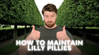 Avoid Bare Patches Secrets to Maintaining Lilly Pillies [upl. by Steel]