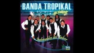 super banda tropical  mix de los vasquez [upl. by Astred221]