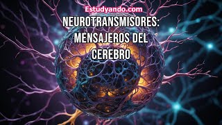 Neurotransmisores Mensajeros del cerebro [upl. by Studdard]