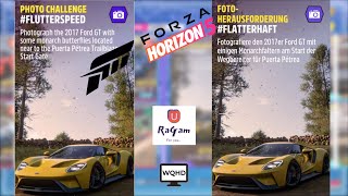 Forza Horizon 5 Foto Herausforderung FLATTERHAFT [upl. by Noj]