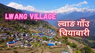 ल्वाङ गाउ चियाबारी Lwang Village Pokhara  Top Homestay of Nepal [upl. by Dib]