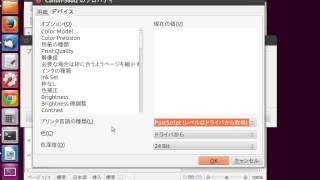 プリンタの設定 LibreOfficeOpenOfficeのWriterで印刷設定と印刷実行 Ubuntu 1204 printer seting No03 [upl. by Yelrahc602]