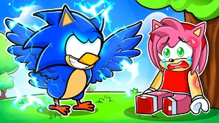 Playing Roblox As A PROTECTIVE ELEMENTAL SONIC BIRD In Roblox [upl. by Adlen88]