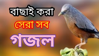 Bengali Islamic naat  amazing Islamic song  ইসলামিক সেরা গজল  bangla new gojol  New gojol [upl. by Pucida]