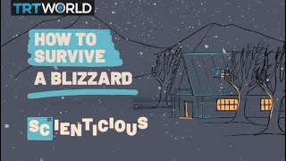 Surviving a blizzard  Scienticious – Episode 2 [upl. by Bilow]