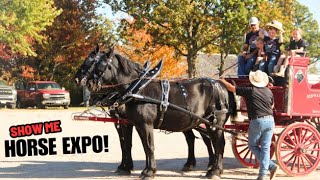 EVERYTHING DRAFT HORSE  Learn All About Draft Horse Care AND MORE Part 1 [upl. by Ecinad]