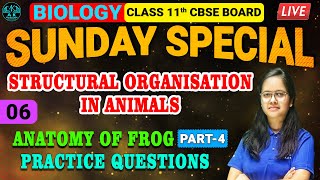 CBSE BOARD  CLASS 11TH BIOLOGY  STRUCTUAL ORGANISATION IN ANIMALS  LEC06  A K EDUCATION [upl. by Artemisa]