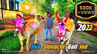 jiva shivachi bail jod  🔥 bail pola [upl. by Nosnah]