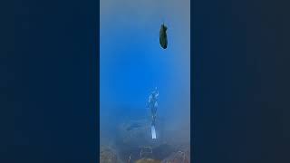 NWXpeditions meets Coralia Dives siren freediver coraliadives NWXpeditions [upl. by Airekahs]