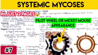 Systemic mycoses part 1  histoplasmosis basidiomycosis coccidioidomycosis paracoccidioidomycosis [upl. by Iy]