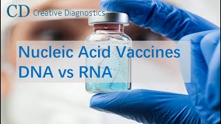 Nucleic Acid Vaccines DNA vs RNA  Creative Diagnostics [upl. by Holey]