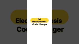 Gel electrophoresis botany biology zoology biotechnology [upl. by Brooke]