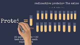 Nirenberg and Matthaei’s and Nirenberg and Leder’s Experiments [upl. by Anabelle]