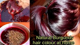 मेंहदी में सिर्फ ये मिलाके लगालो बालों का Colour हो जायेगा Burgundy हमेशा के लिये  100 Naturally [upl. by Shelagh]