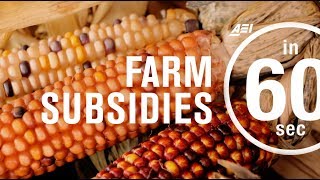 Farm subsidies How effective are they  IN 60 SECONDS [upl. by Ydnyl]