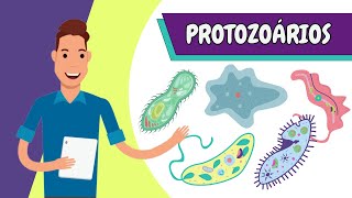 Resumo  PROTOZOÁRIOS [upl. by Polard579]