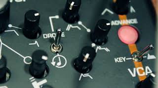 Analogue Solutions TREADSTONE synthesizer  Audio Demo 1 SYNTHBLOCK [upl. by Ative859]