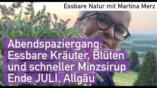 Wildkräuter Ende Juli im Allgäu erkennen sammeln amp verarbeiten [upl. by Foscalina20]