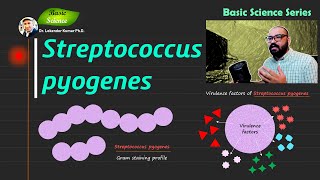 Streptococcus pyogenes  Bacitracin disk test  Microbiology  Bacteriology  Basic Science Series [upl. by Adnamahs]