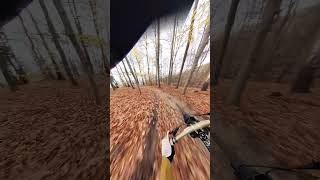 Wolski Forest  Downhill Bike  Commencal Supreme V5 bike downhillmtb mtb mtblife downhill [upl. by Annawat]