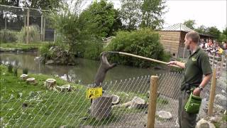 Wingham Wildlife Park  May 19 2012 [upl. by Johnath]