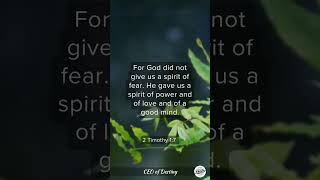 Conquer Fear  2 Timothy 17 youtubeshorts bibleverse verseoftheday fear godsword [upl. by Eremihc]