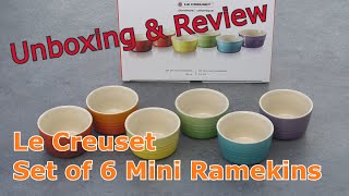 Le Creuset Rainbow Collection Mini Ramekins  UNBOXING amp REVIEW [upl. by Sanford]