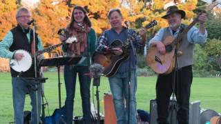 Dogwood Blossom Band [upl. by Afaw]