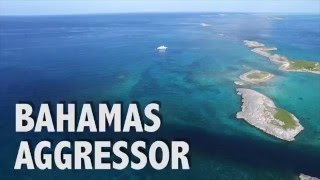 Bahamas Aggressor [upl. by Eaner216]