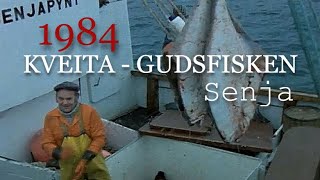 Kveita  Gudsfisken Kveitefiske vest av Senja 1984 [upl. by Belac]