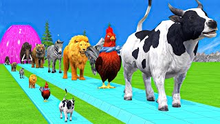 Paint amp Animals CowGorillaElephantGiraffeTigerLion Fountain Crossing Transformation Cartoon [upl. by Annaira]