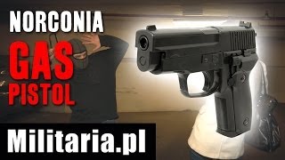 Pistolet Gazowy Norconia Gas Pistol  Militariapl [upl. by Giwdul]